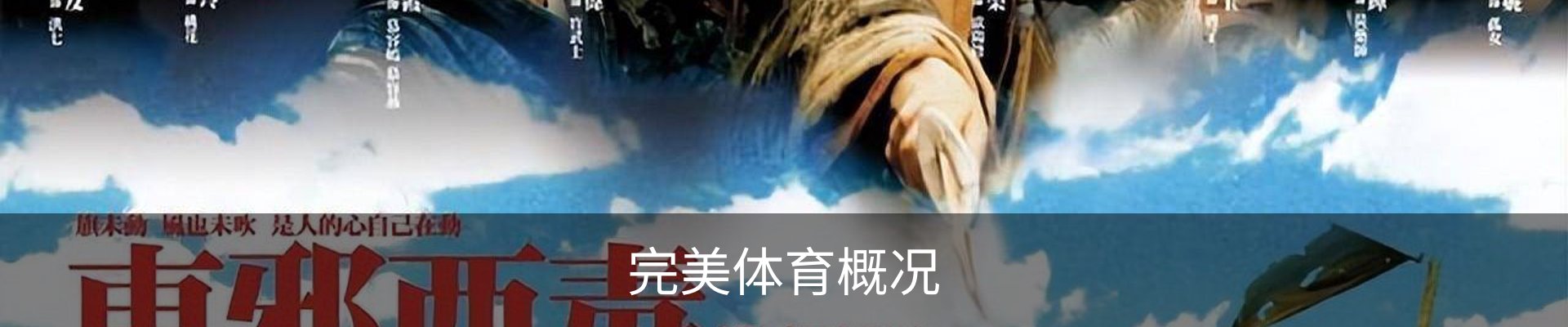完美体育概况